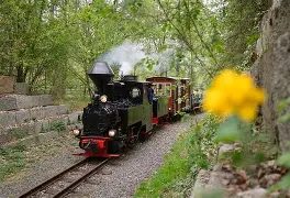Mit „Graf Arnim“ durch Cottbus: Dampfwochenende im Grünen